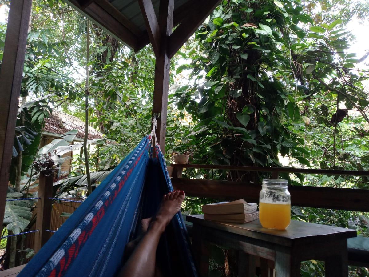 Jungle Paunch Villa Bocas Town Kültér fotó