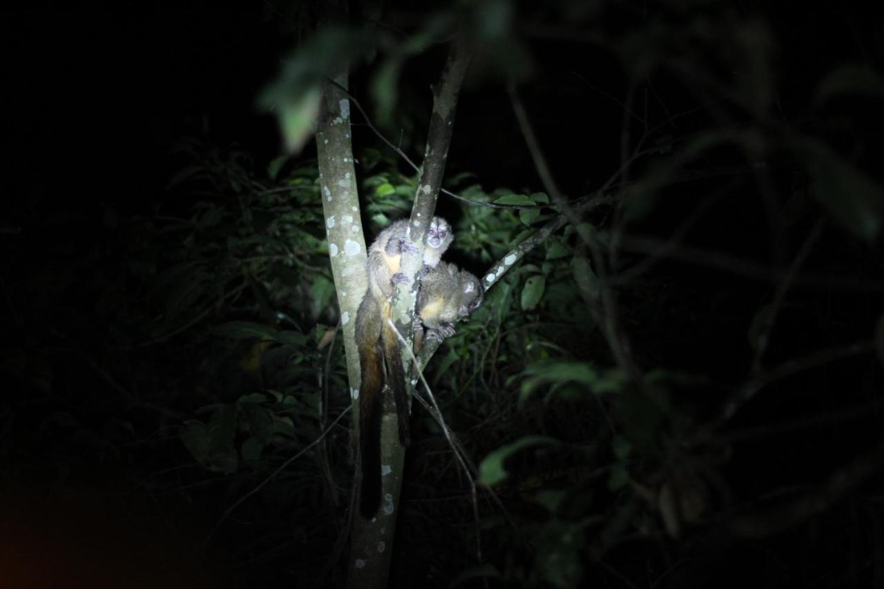 Jungle Paunch Villa Bocas Town Kültér fotó