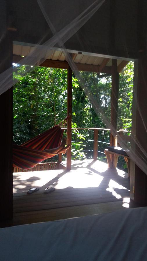 Jungle Paunch Villa Bocas Town Kültér fotó