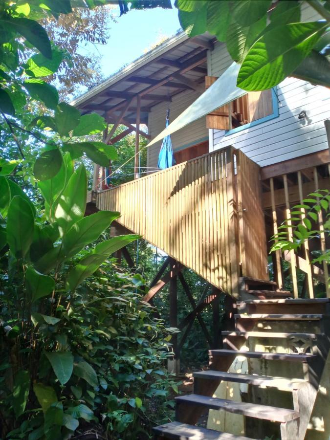 Jungle Paunch Villa Bocas Town Kültér fotó
